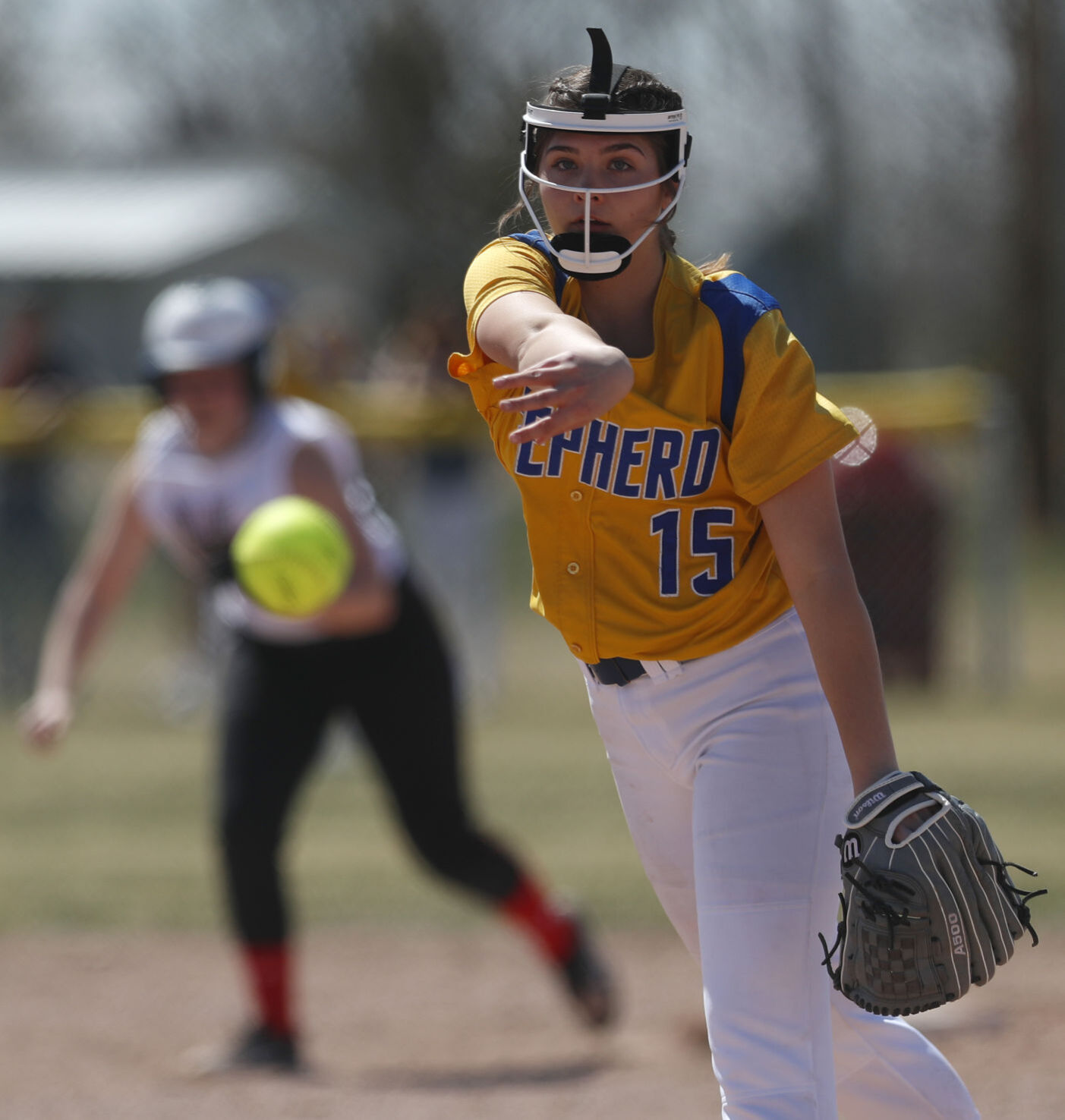 Huntley Project softball v Shepherd
